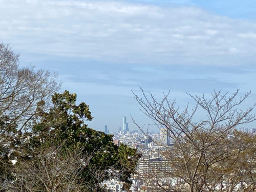 枚岡梅林からの眺望　あべのハルカス