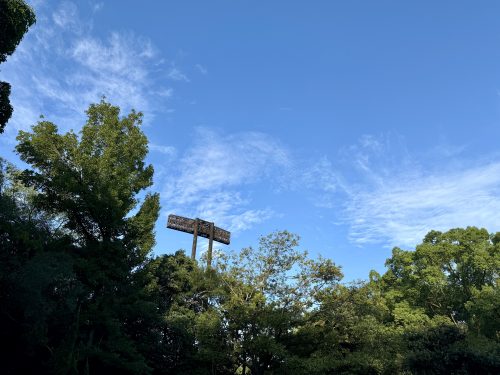 2024/08/28 長居公園