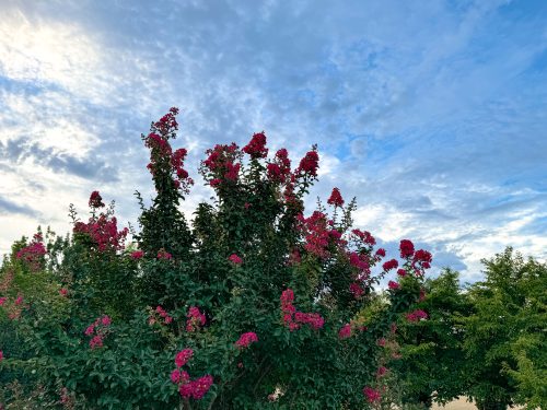 2024/08/27 長居公園