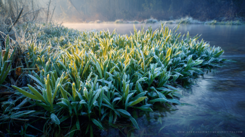 Midjourney作：芹乃栄